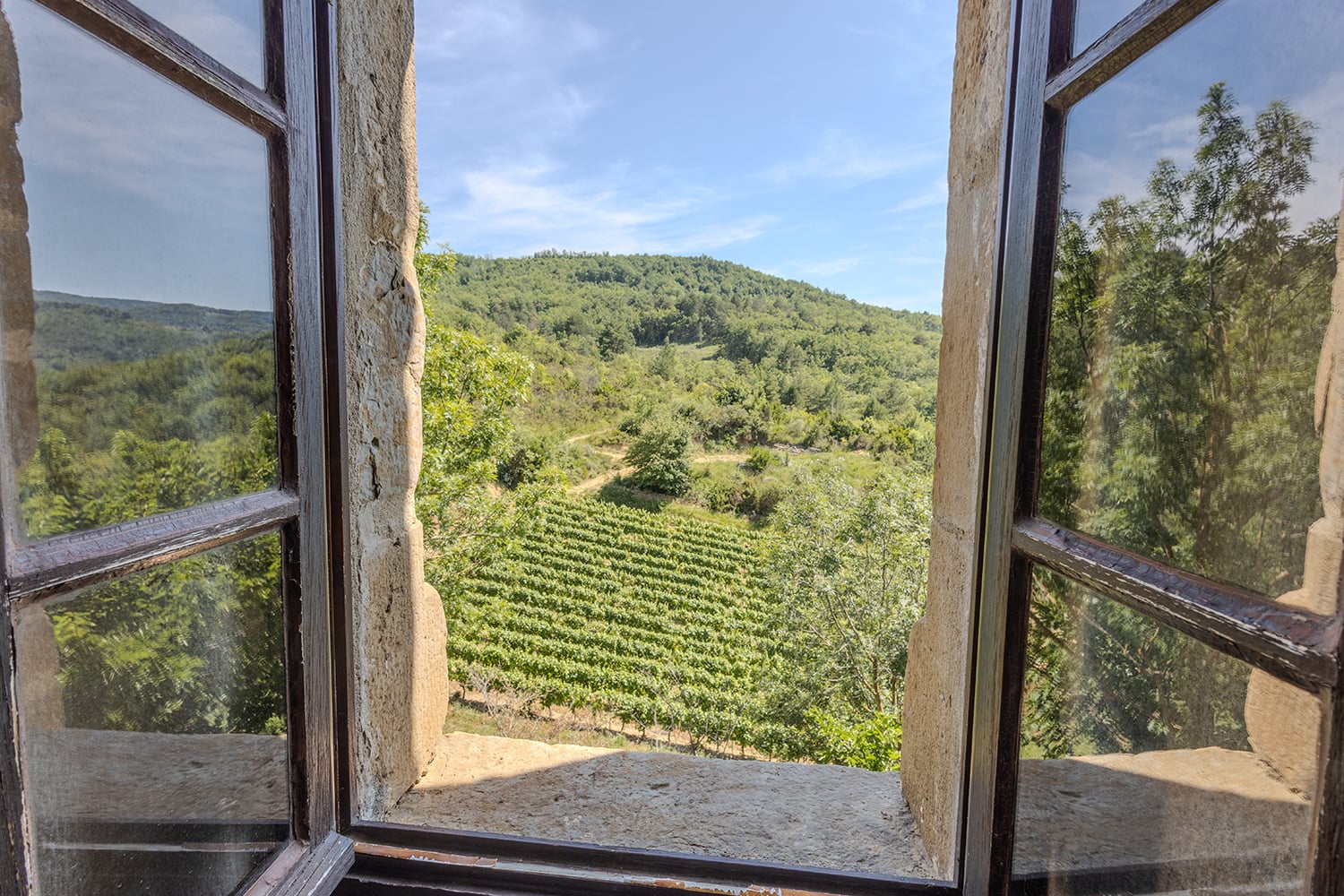 View from window