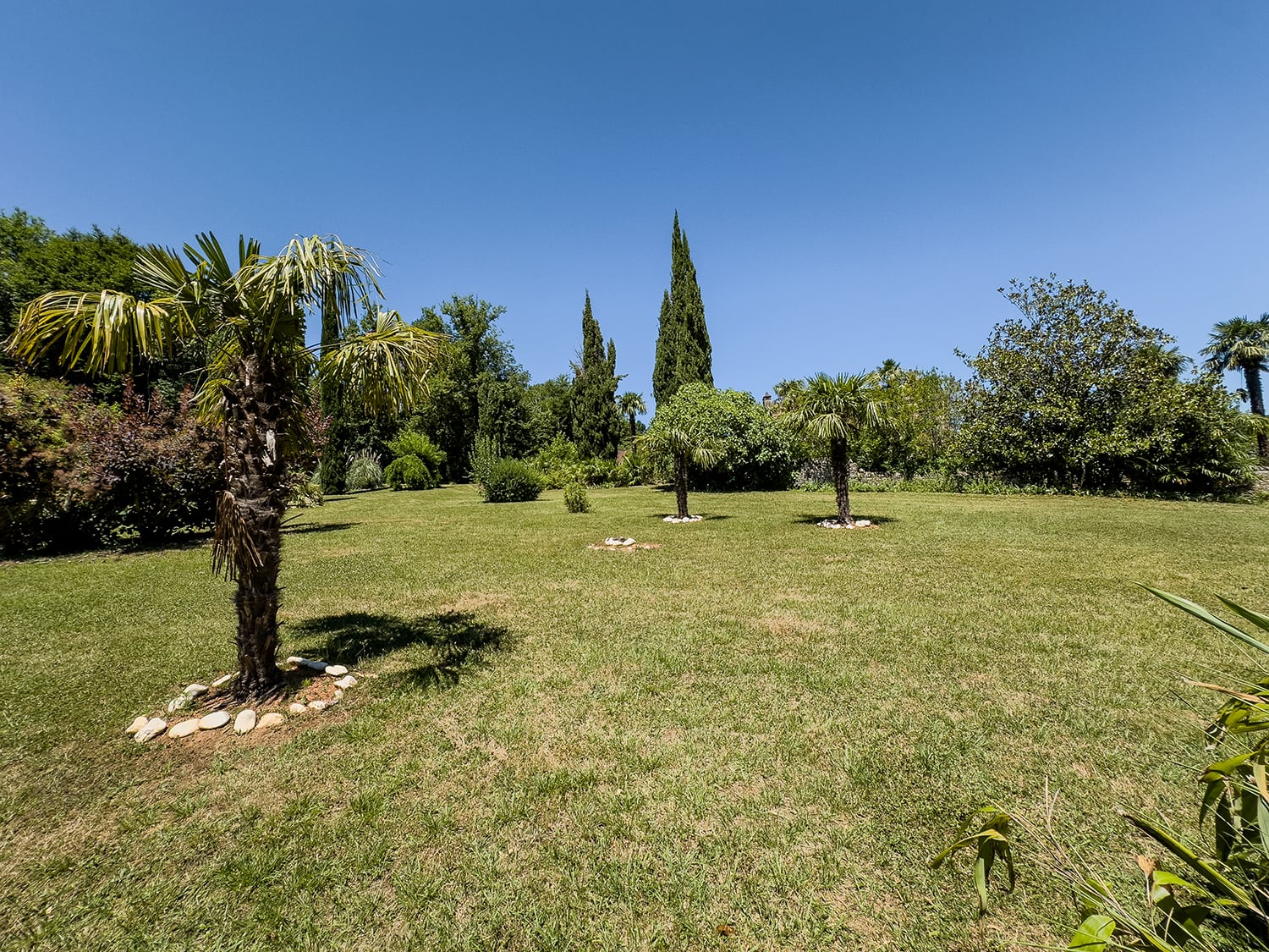 Lawned garden