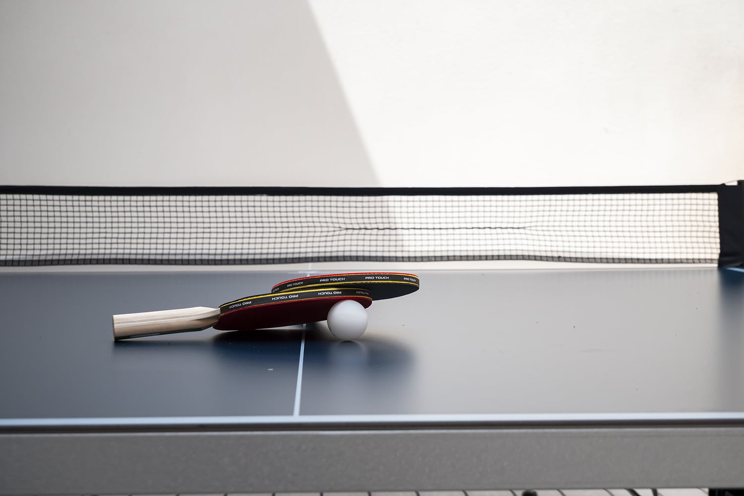 Table tennis | Holiday home in Buzet-sur-Tarn