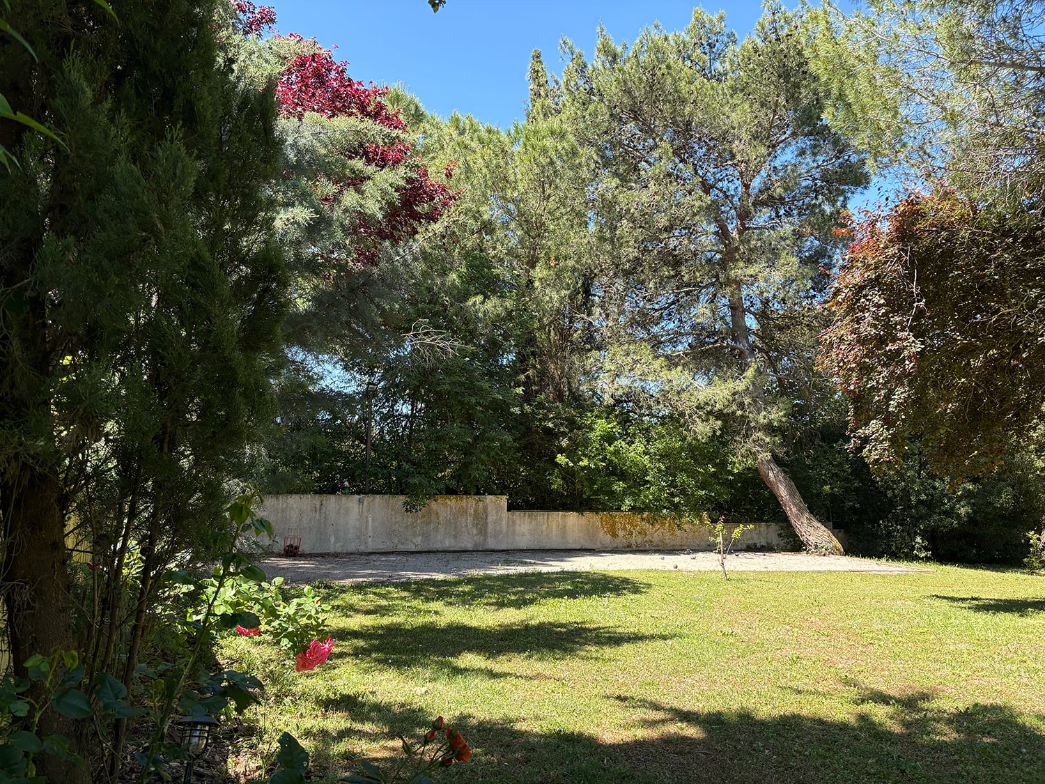 Boule court
