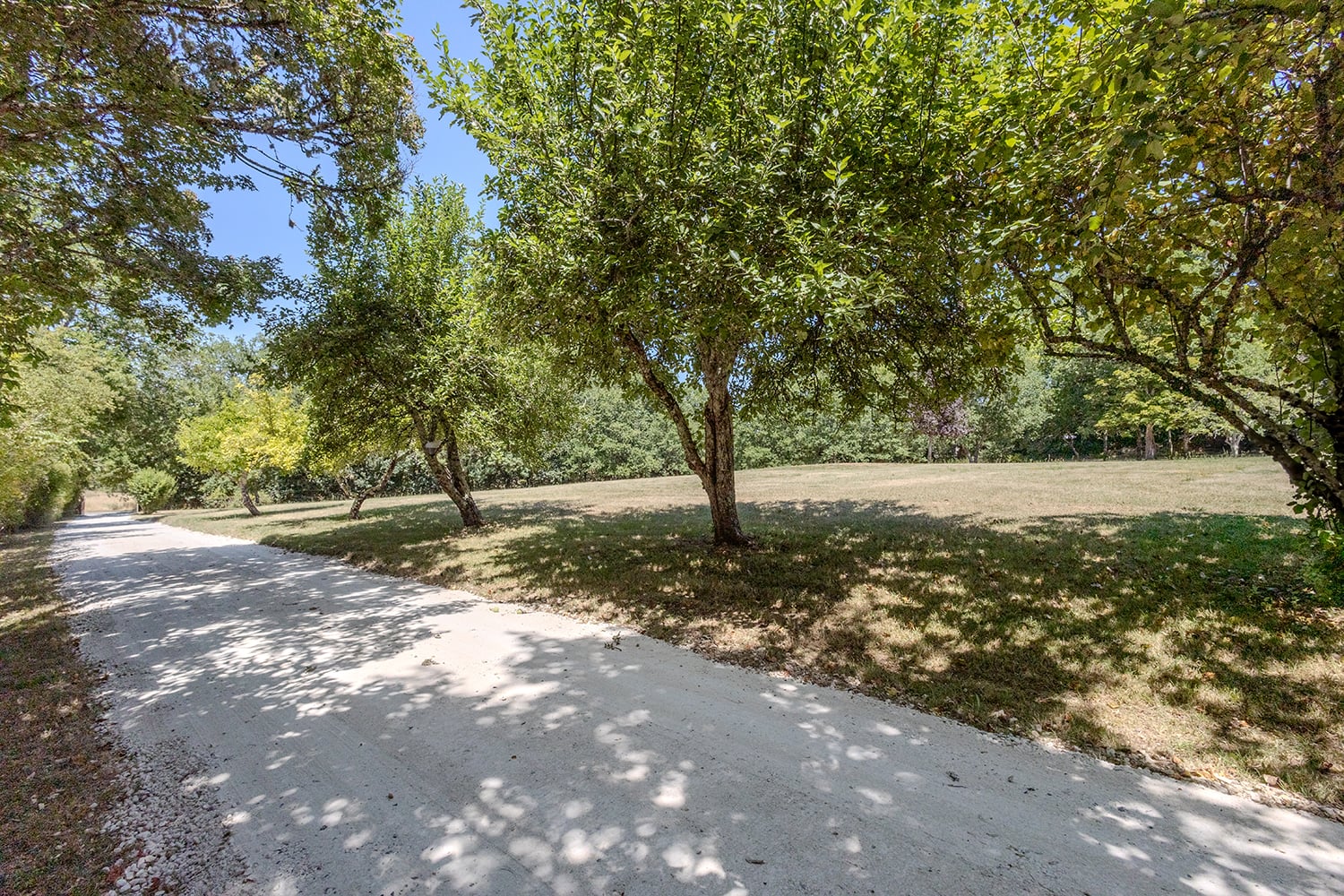 Driveway Driveway