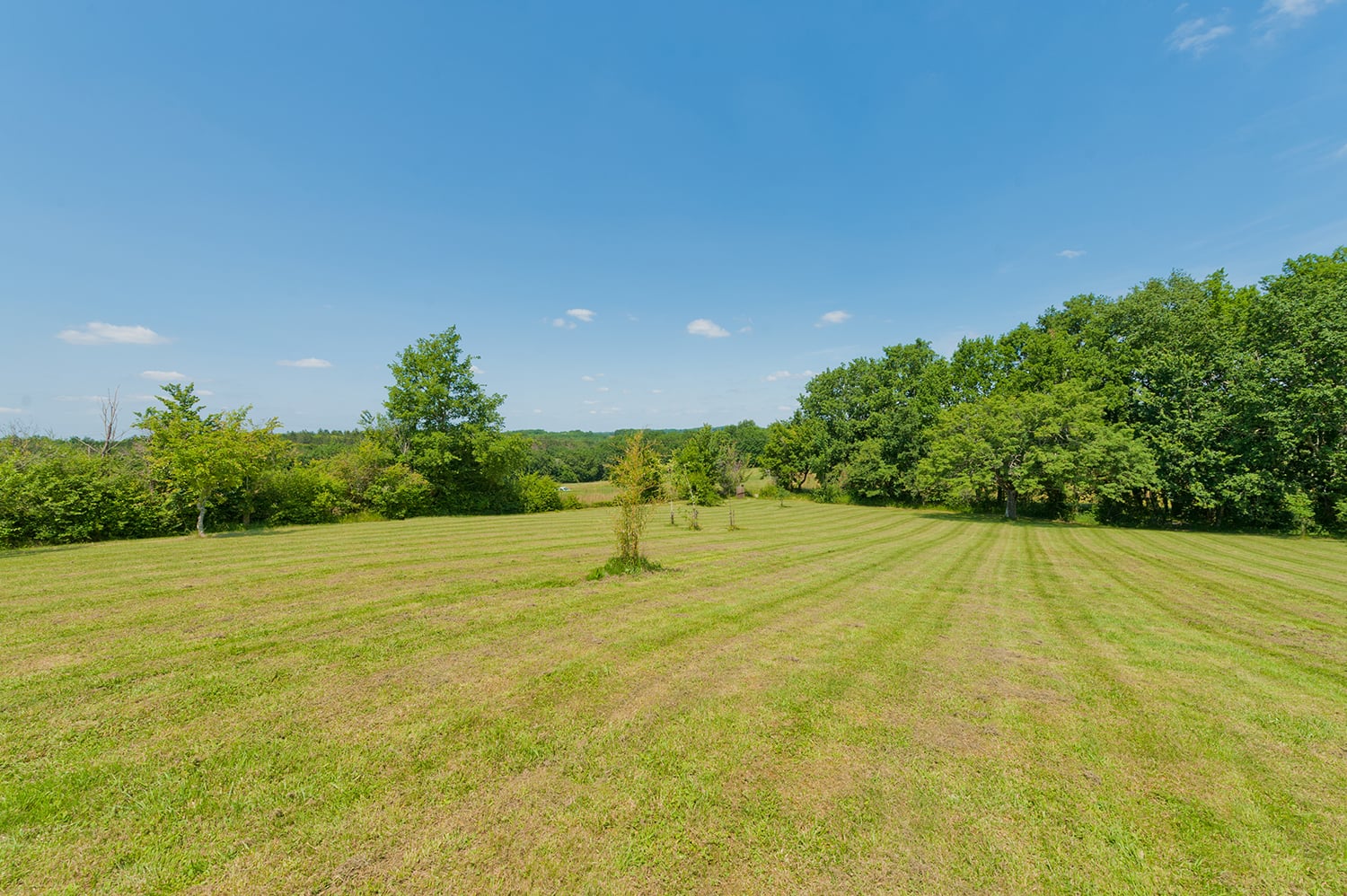 Lawned garden Lawned garden