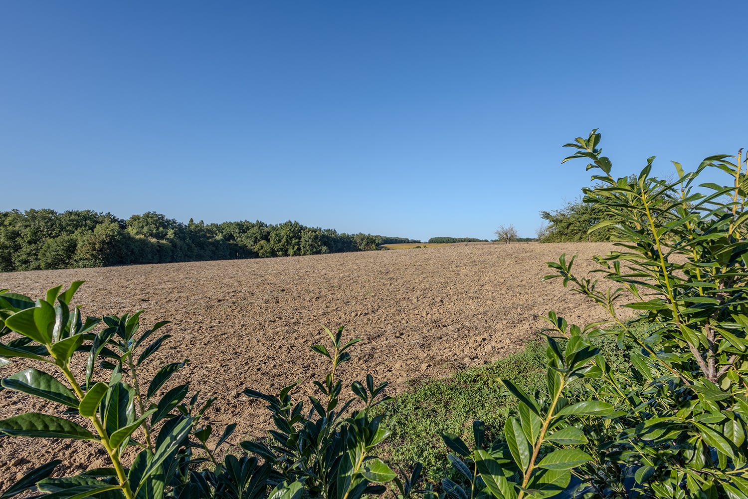 Countryside view