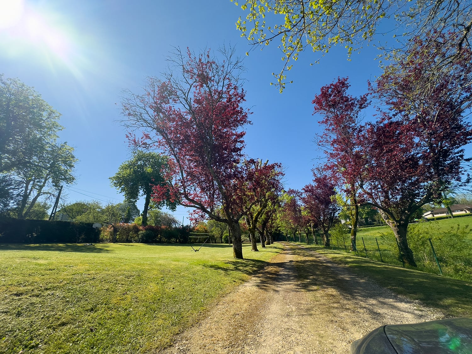 Driveway