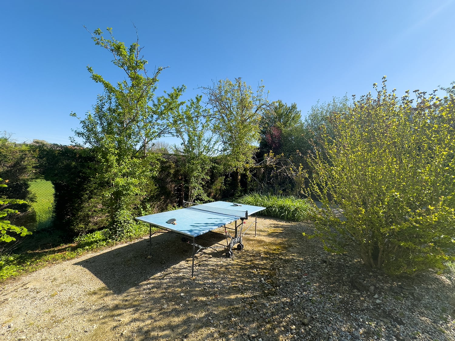 Table tennis