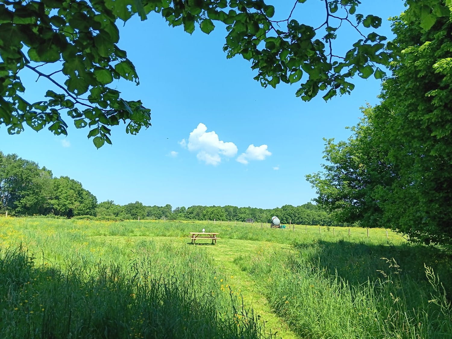 Garden picnic area