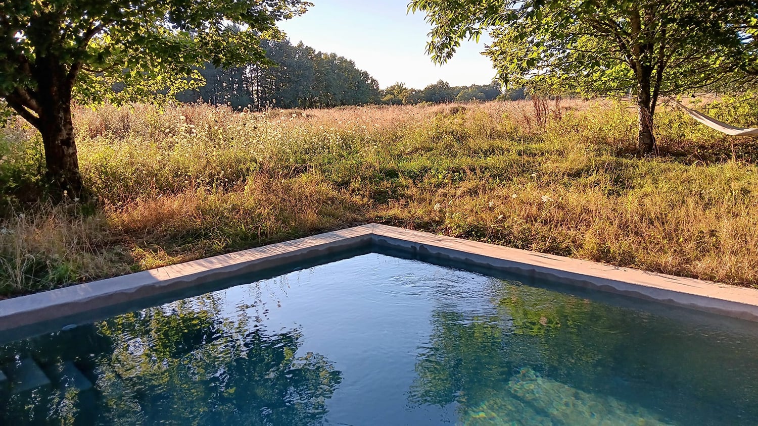 Private pool and garden
