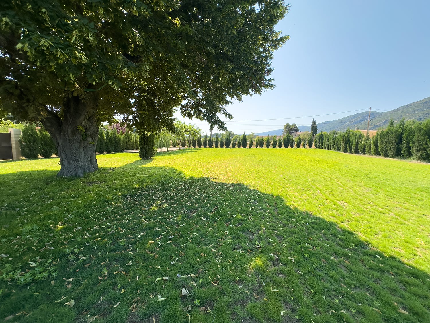 Lawned garden
