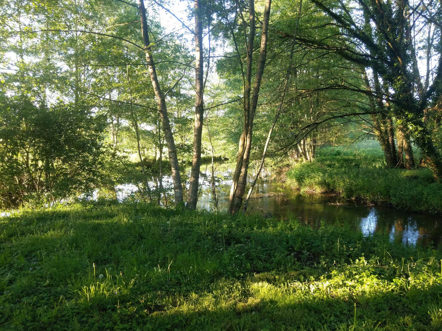 Lake