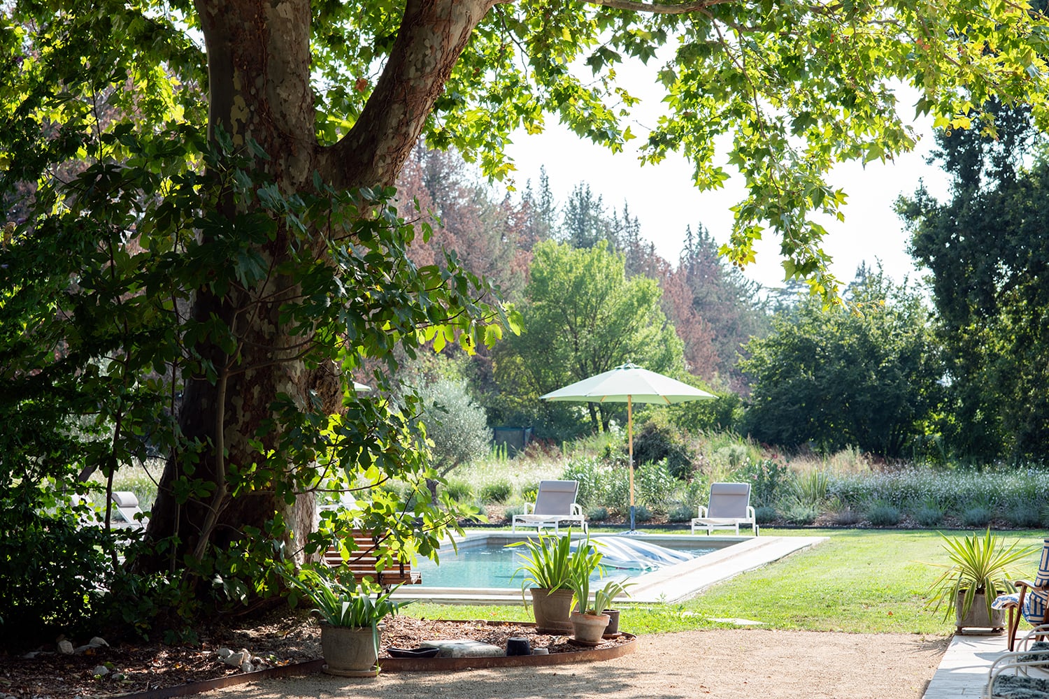 Garden Garden