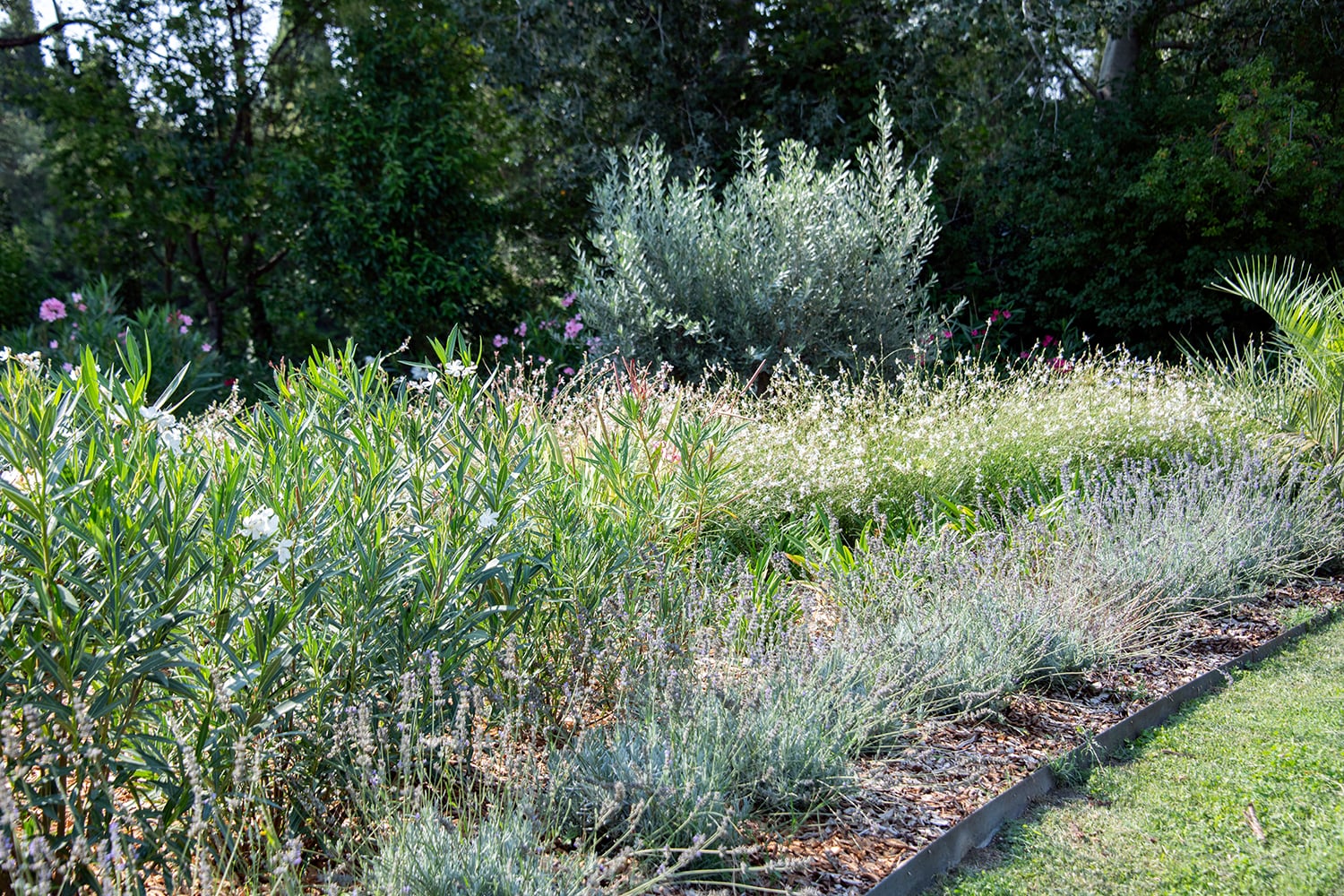 Garden Garden