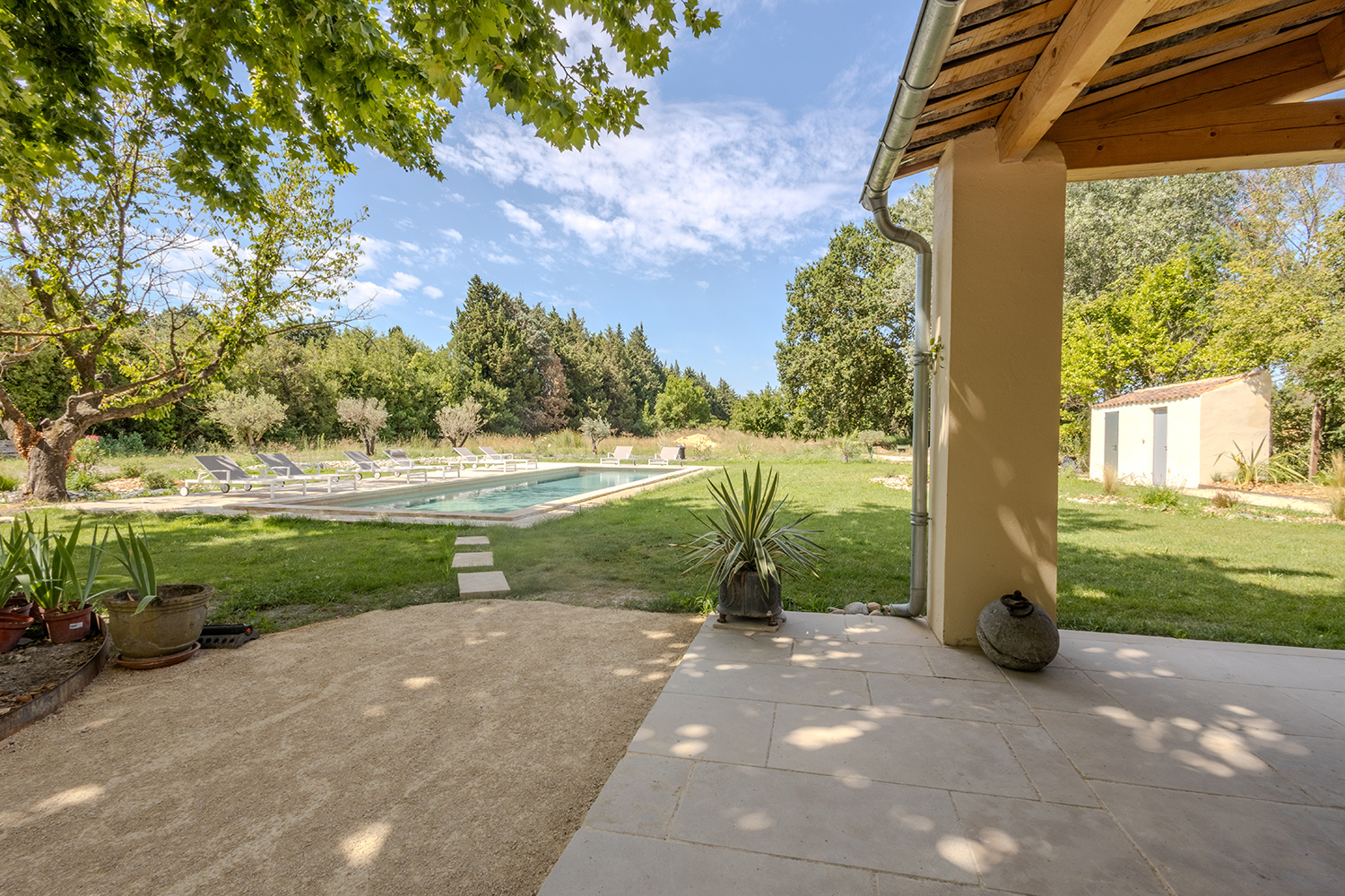 Terrace and garden