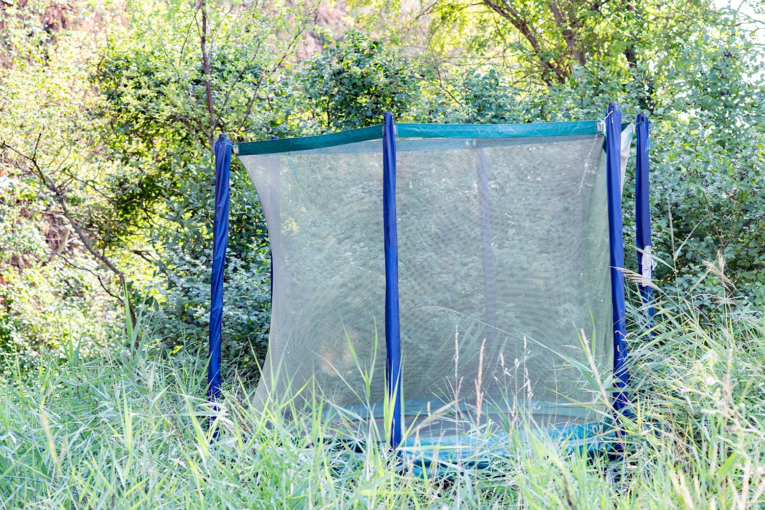 Trampoline Trampoline