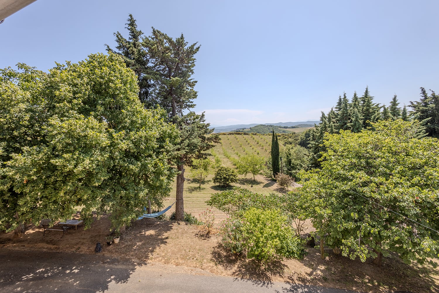 Garden and view