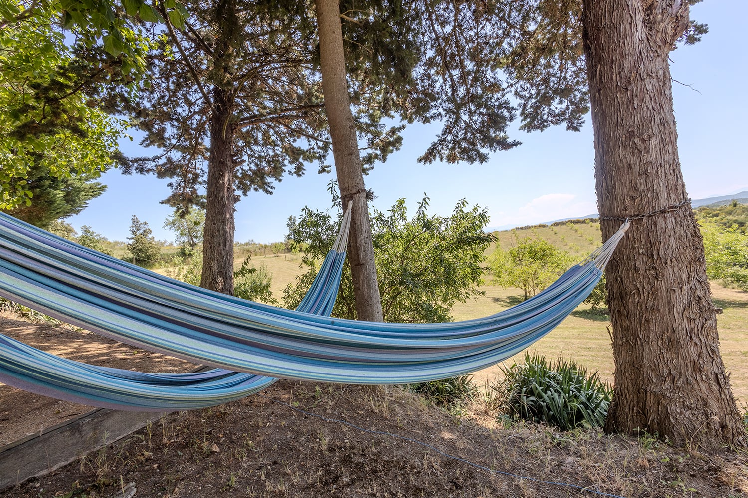 Hammocks