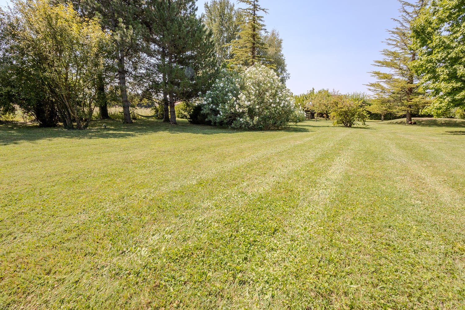 Lawned garden