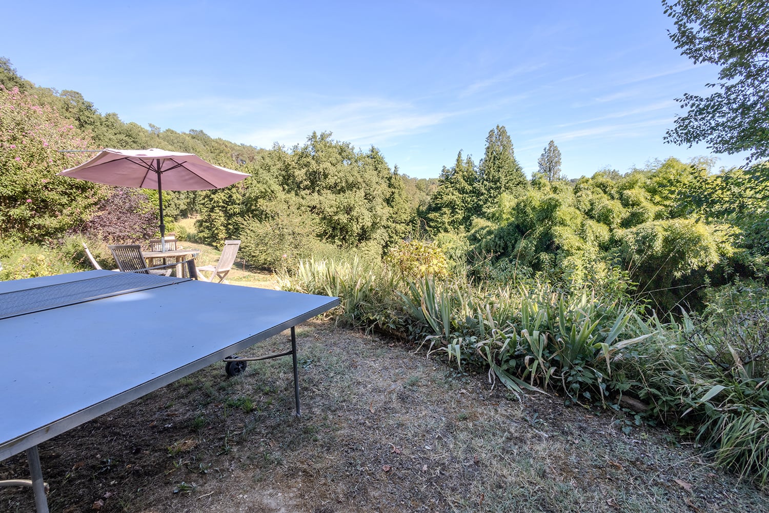 Table tennis