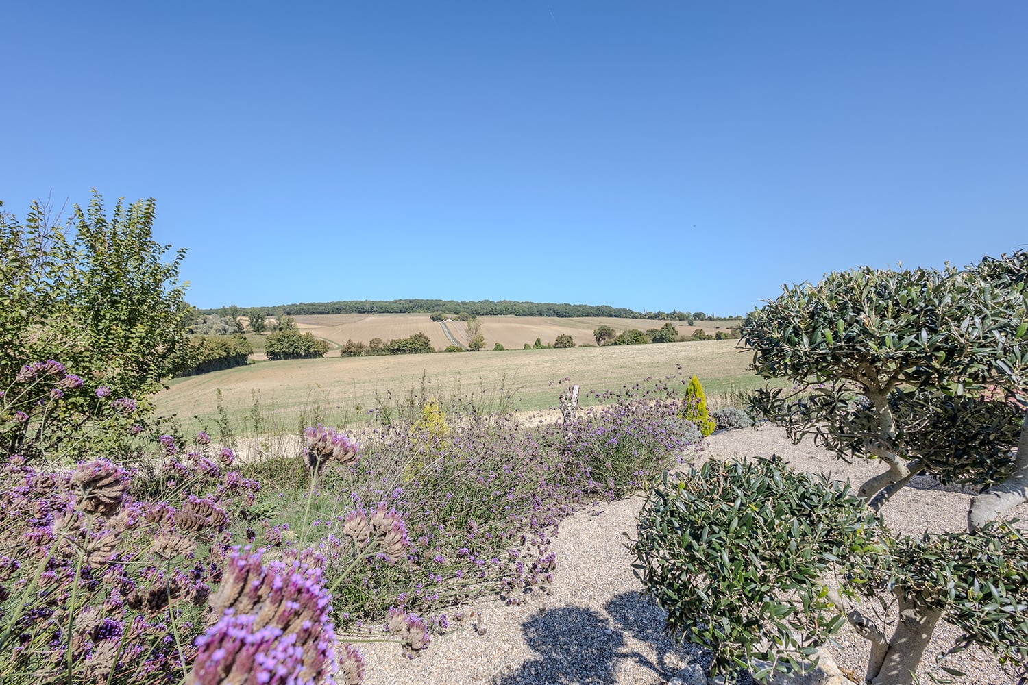Countryside view