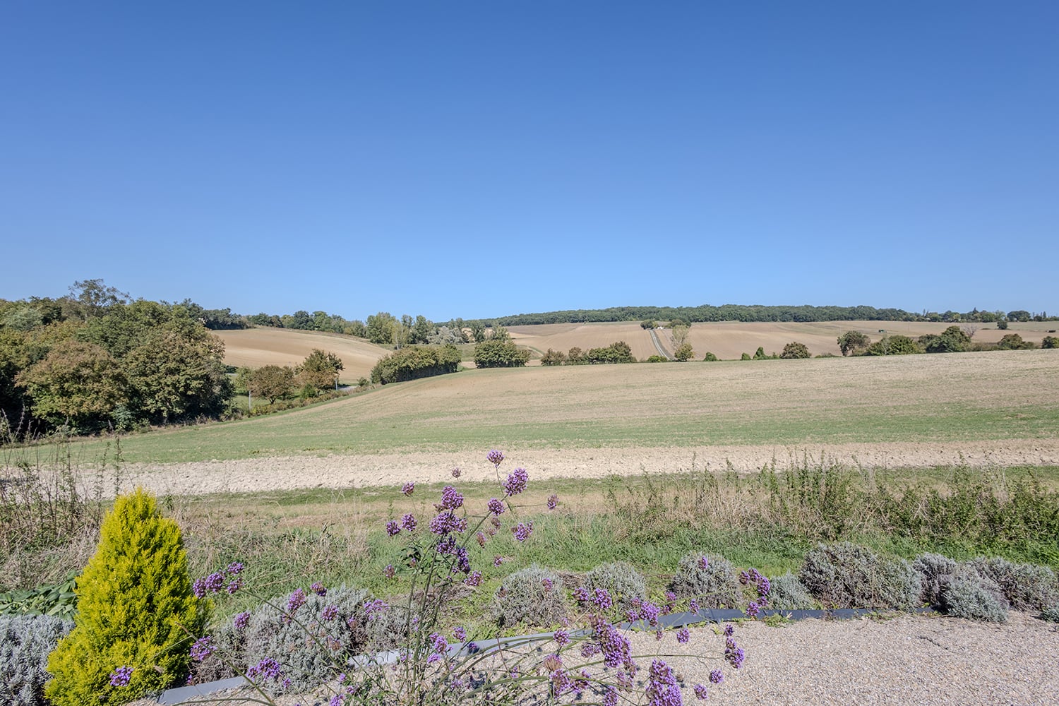 Countryside view
