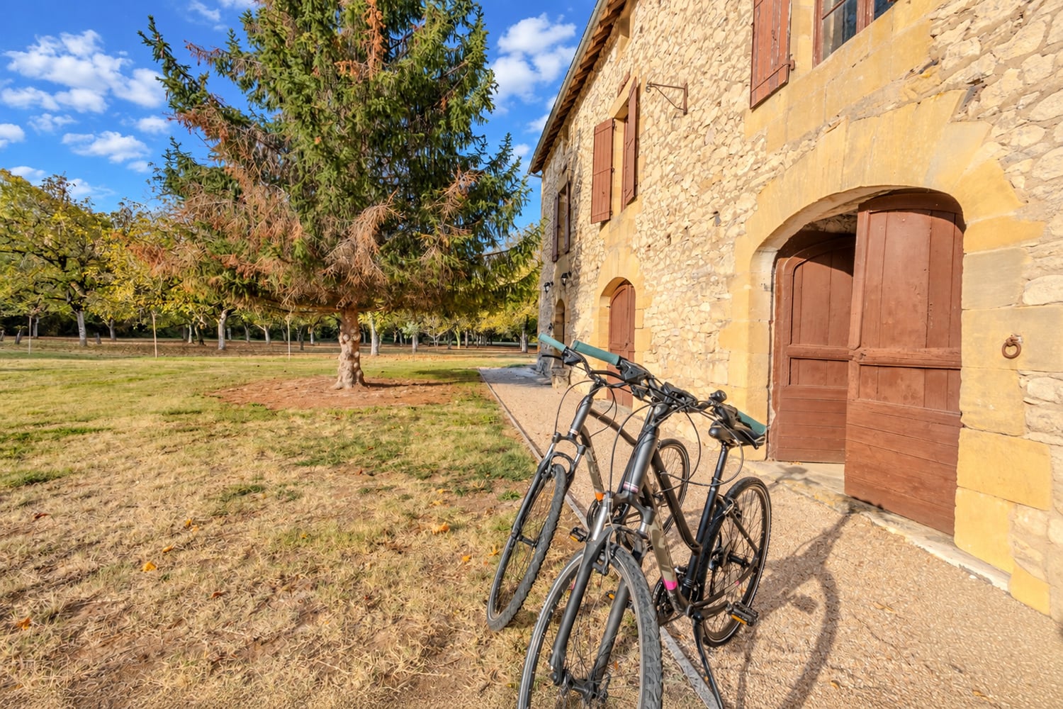 Bicycles Bicycles