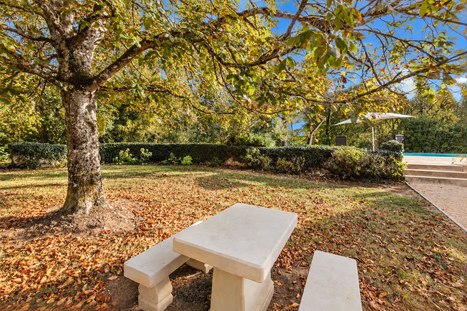 Garden Garden