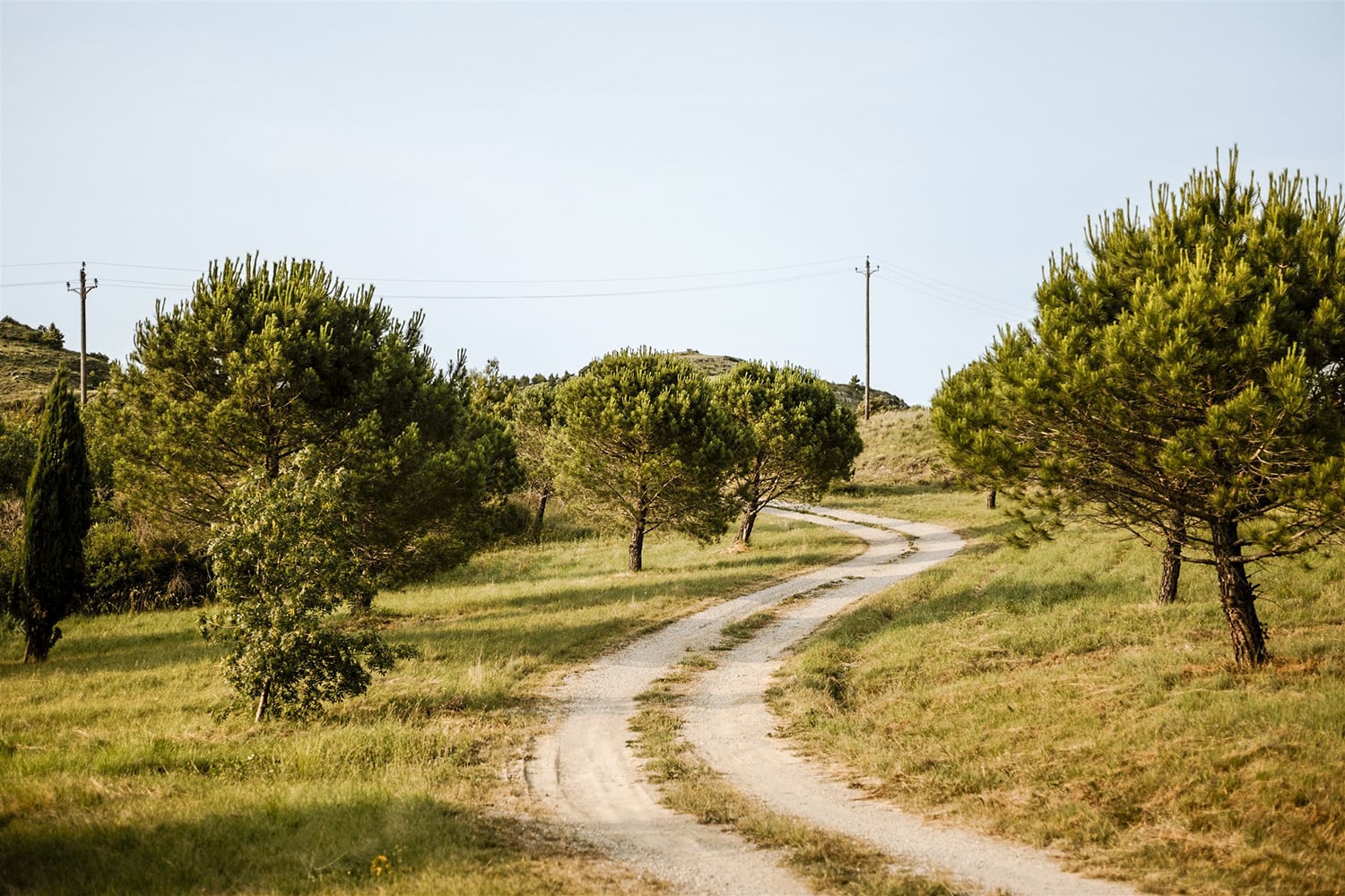 Driveway | Holiday home in South of France