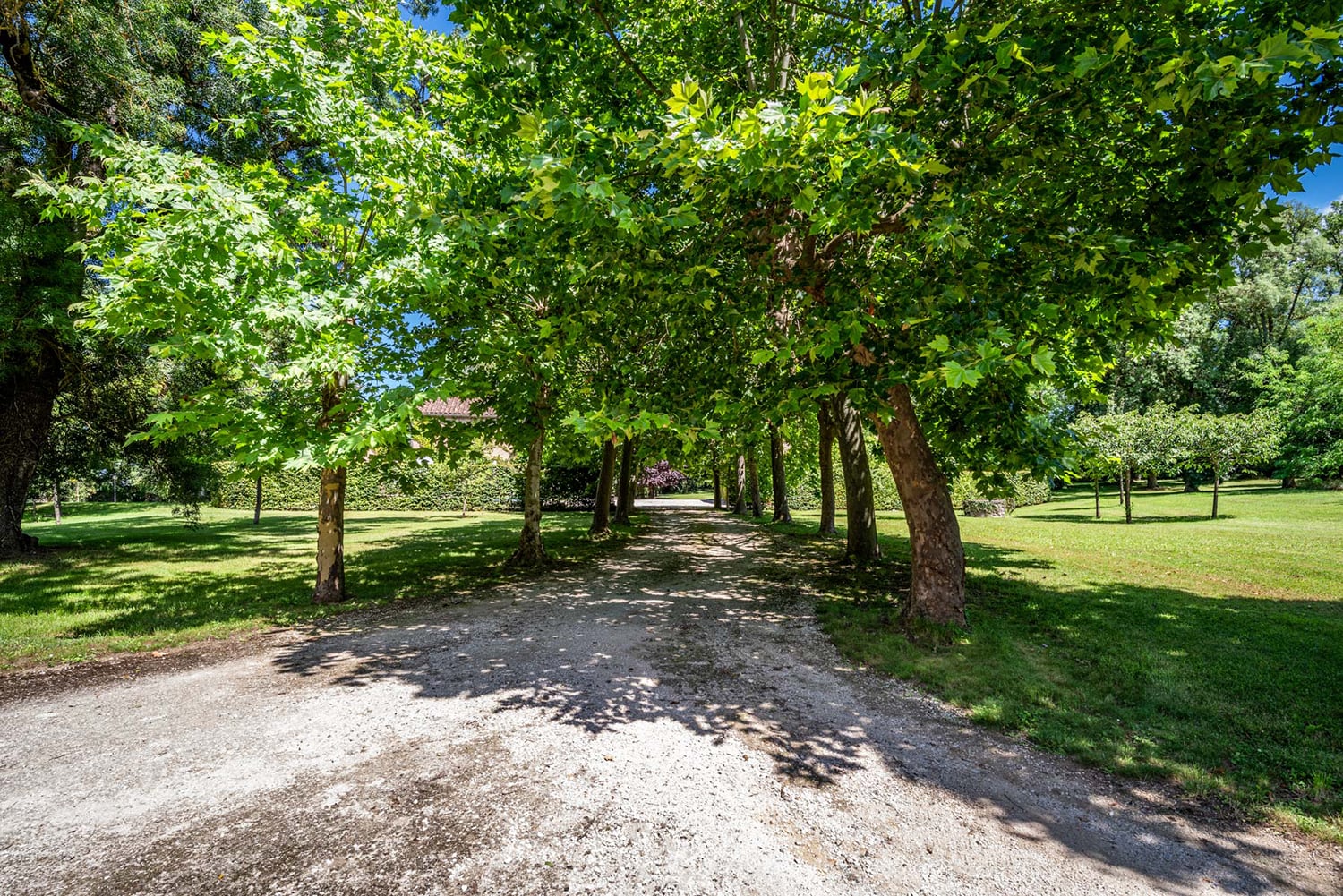Driveway