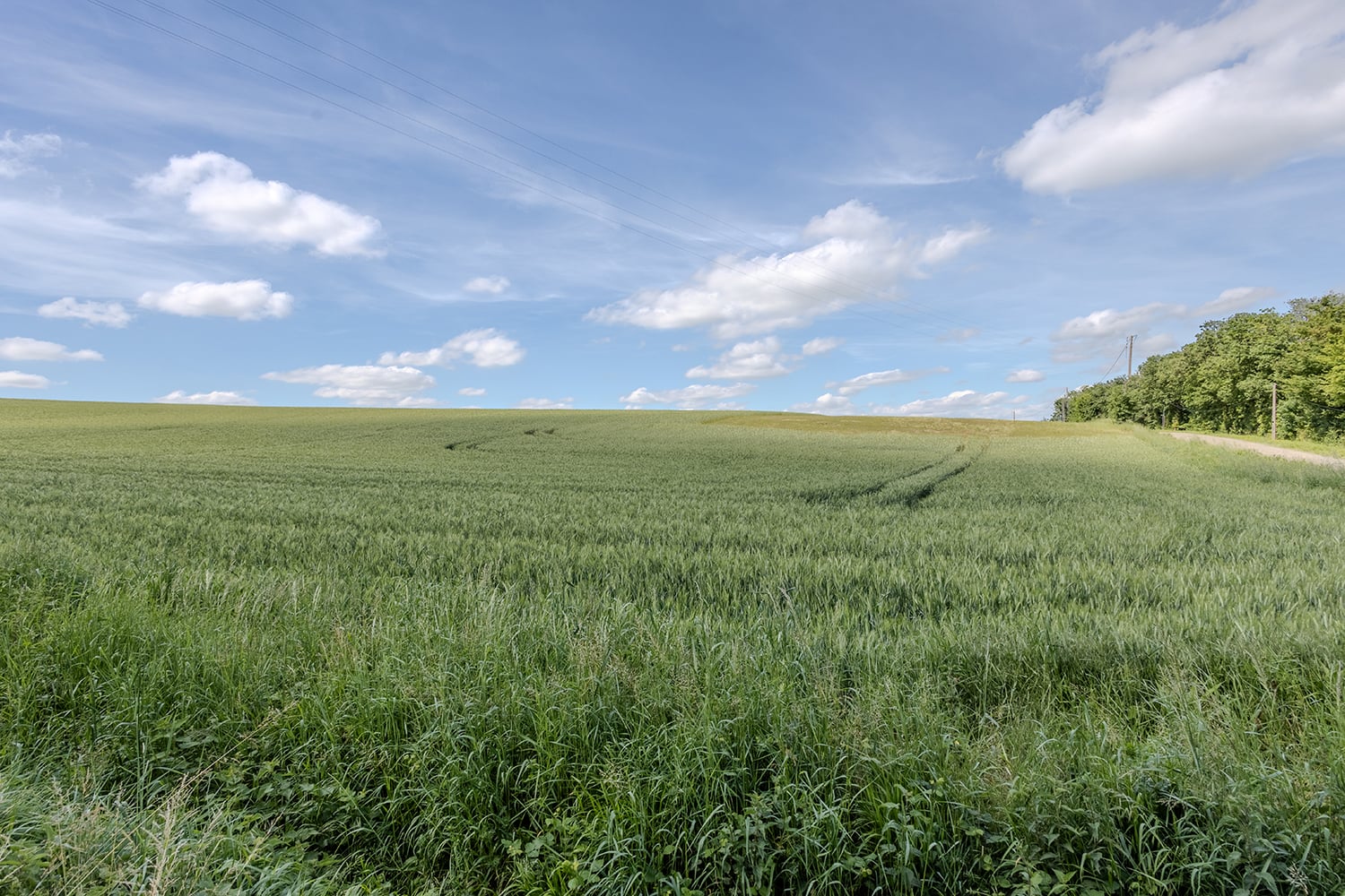 Countryside Countryside