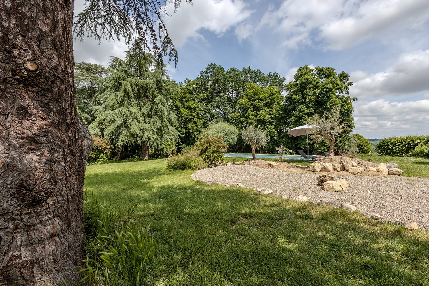 Garden Garden