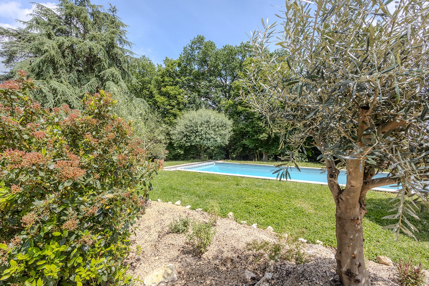 Private pool Private pool
