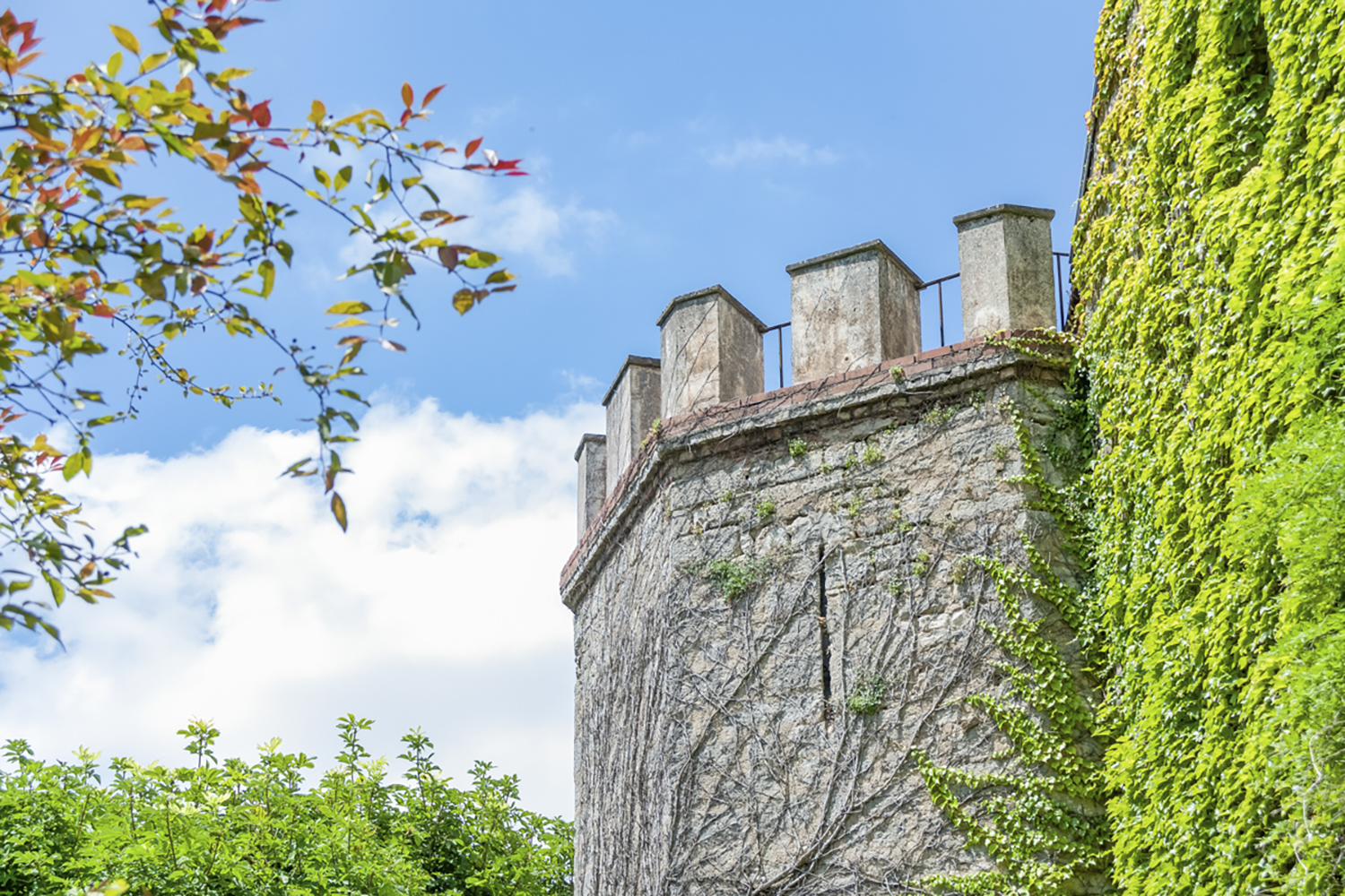 Holiday château in Bourgogne-Franche-Comté