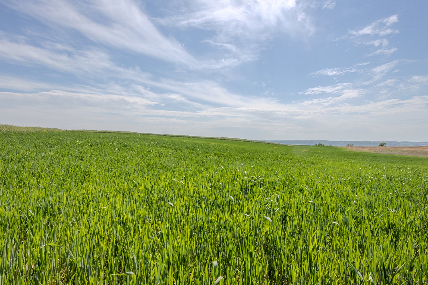 Countryside view