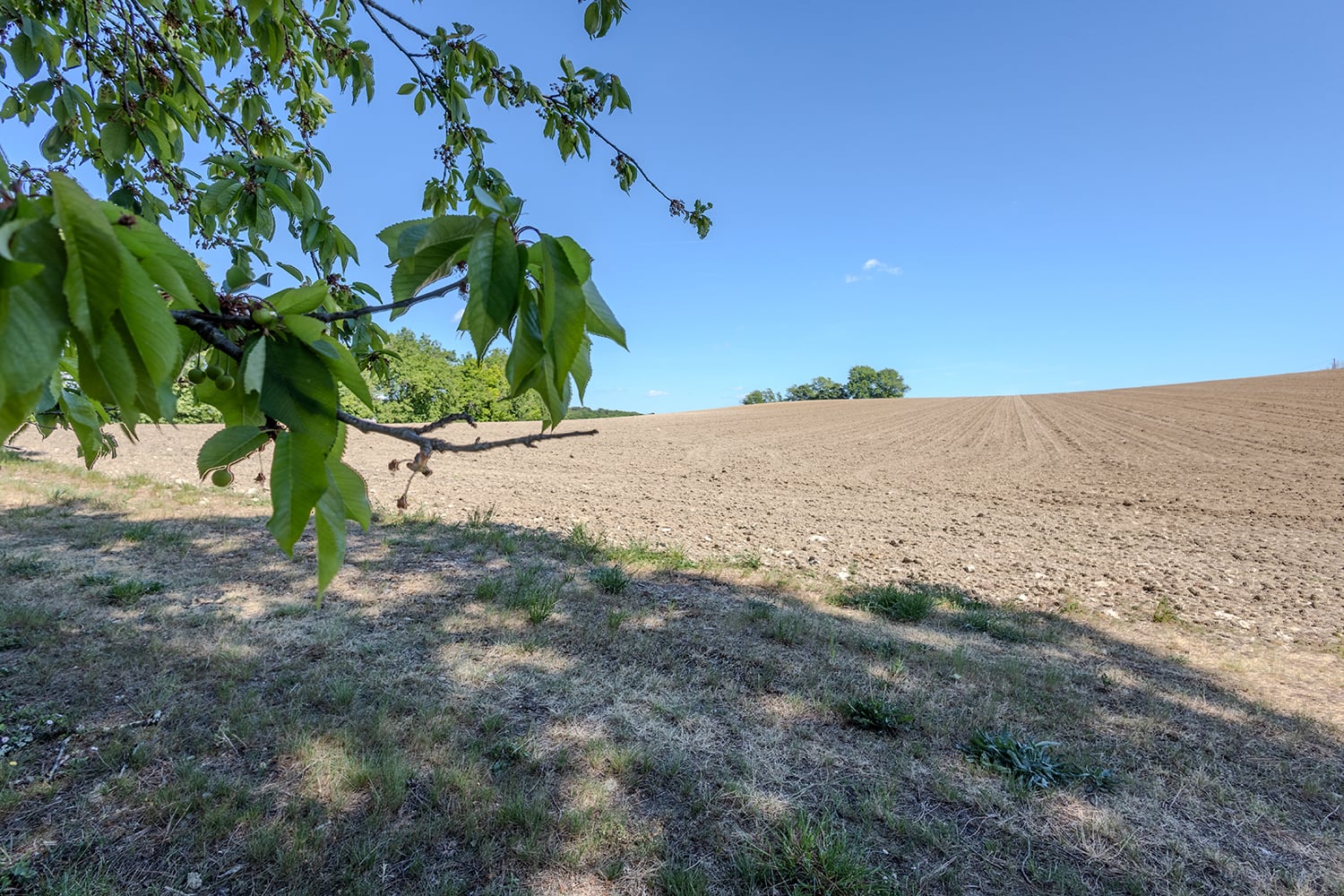 Countryside view