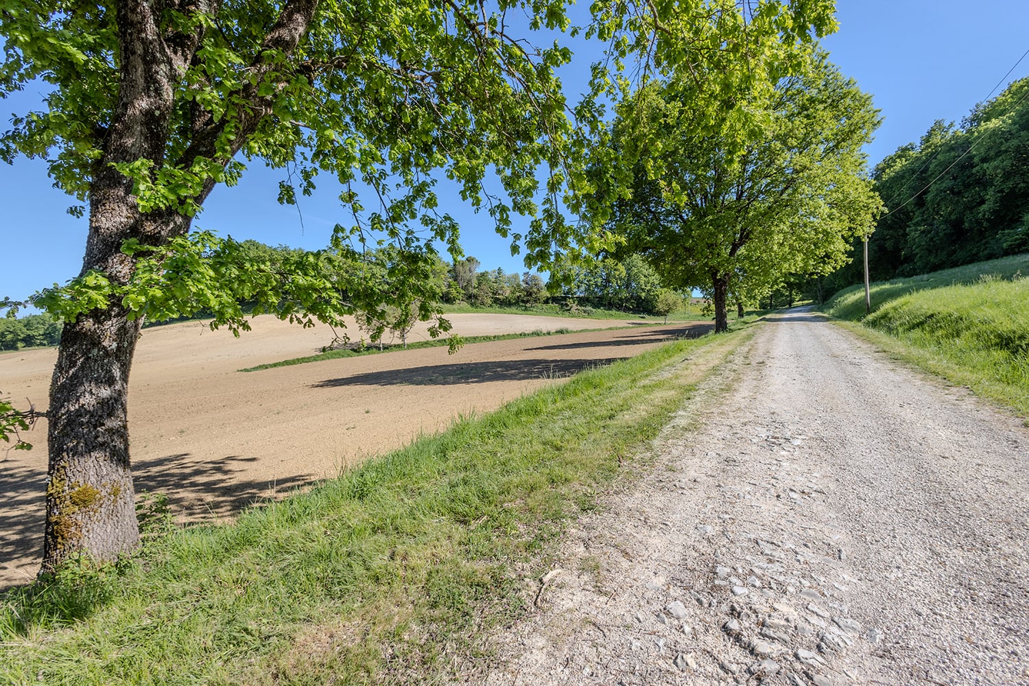 Driveway