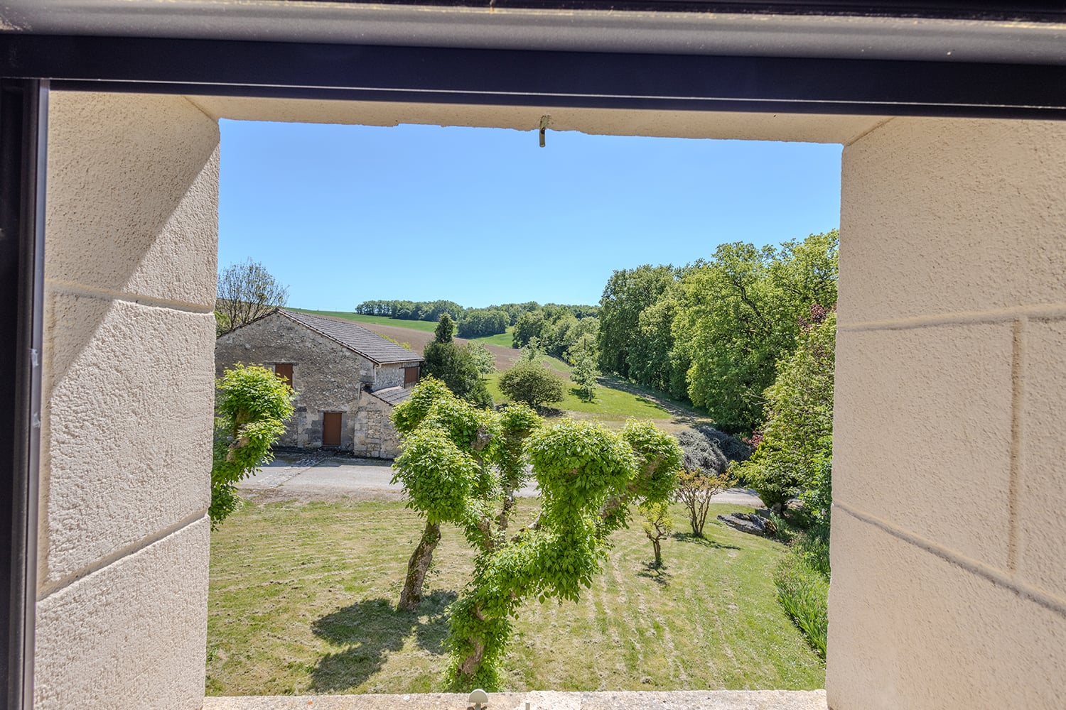 View from window