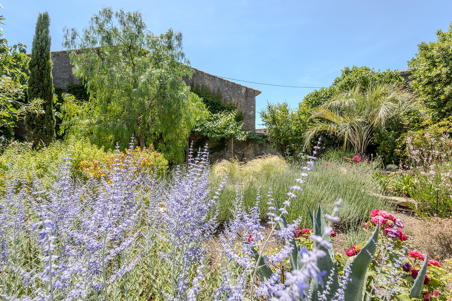 Garden Garden