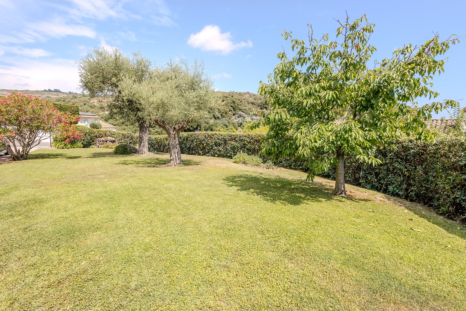 Garden Garden