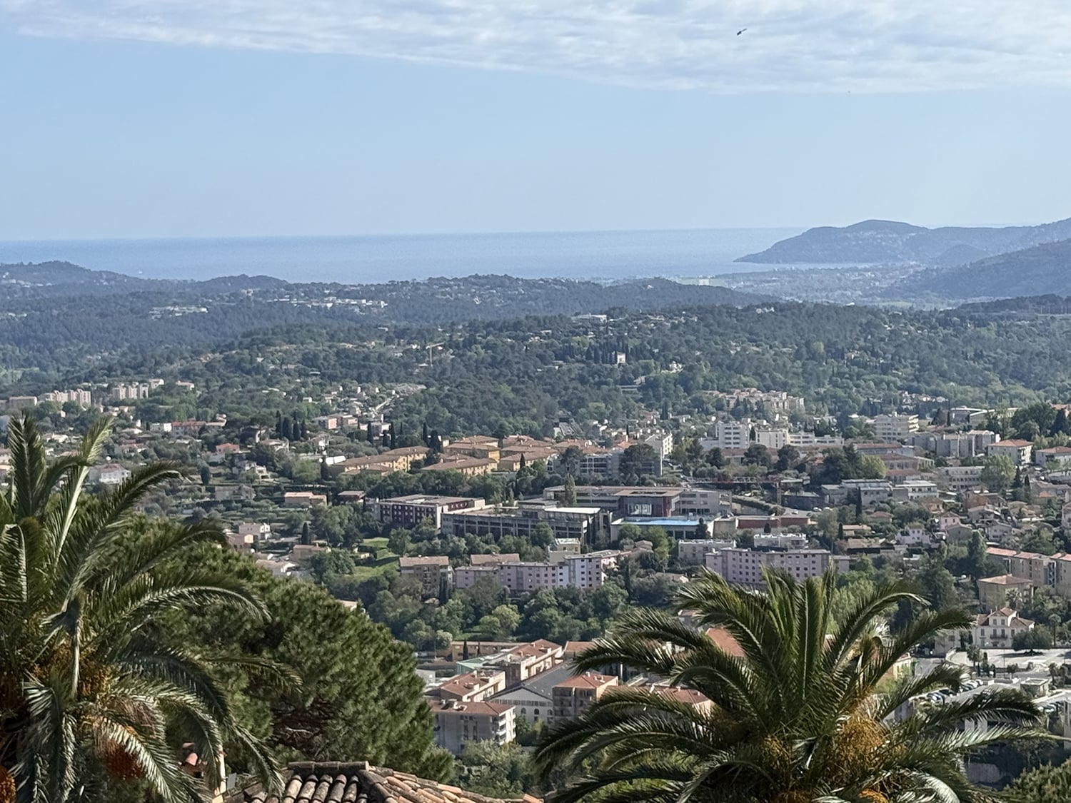 View