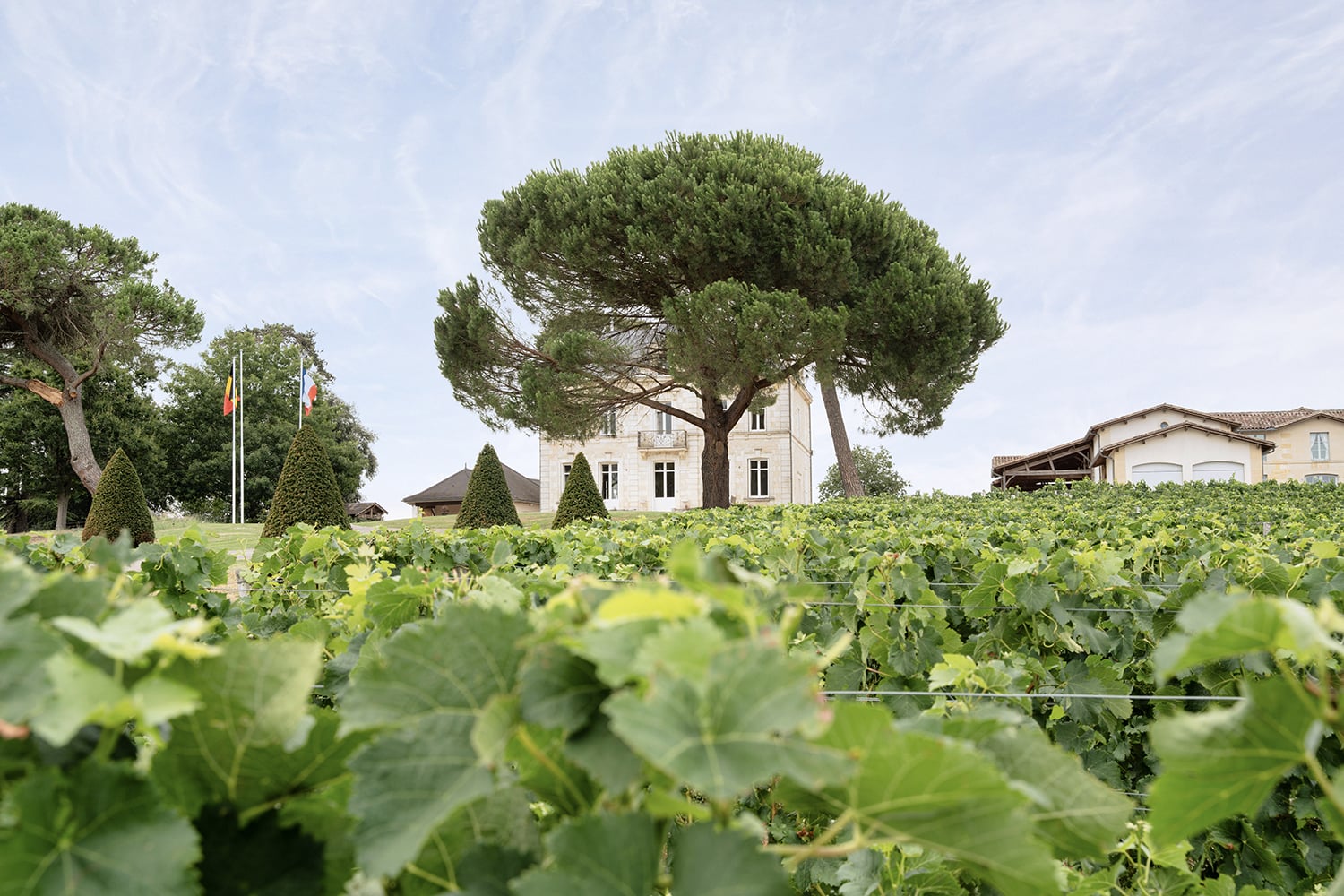Vacation château in Gironde Vacation château in Gironde