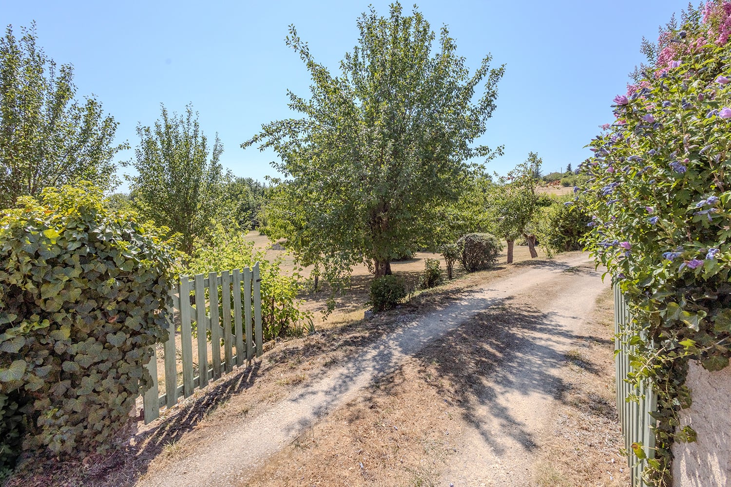 Driveway Driveway