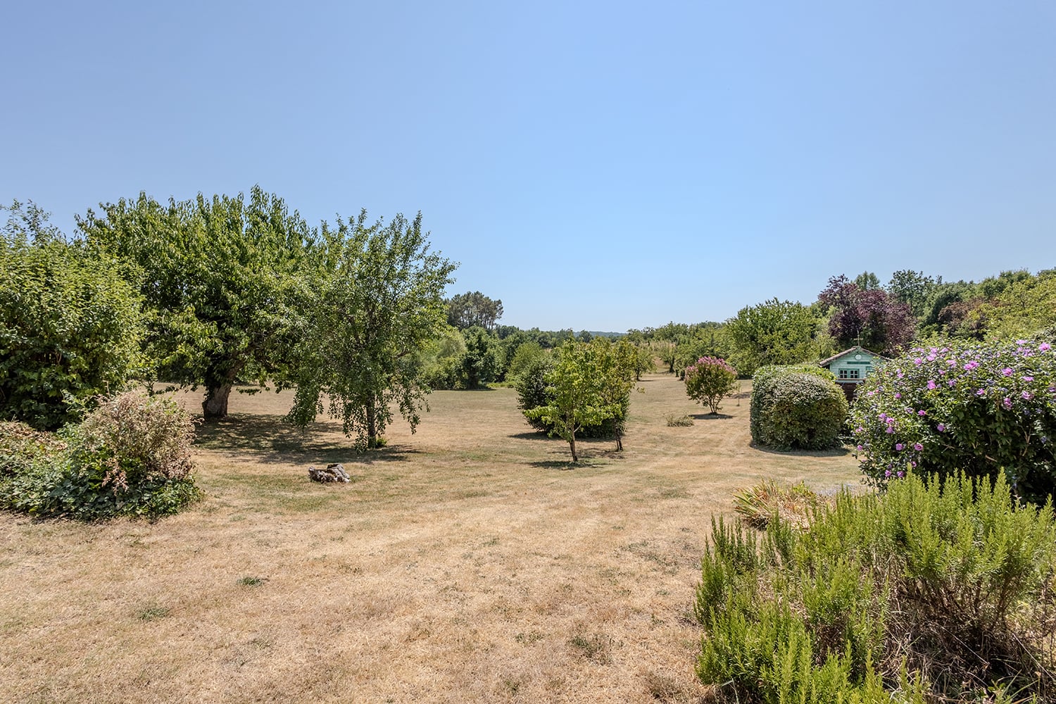Garden Garden