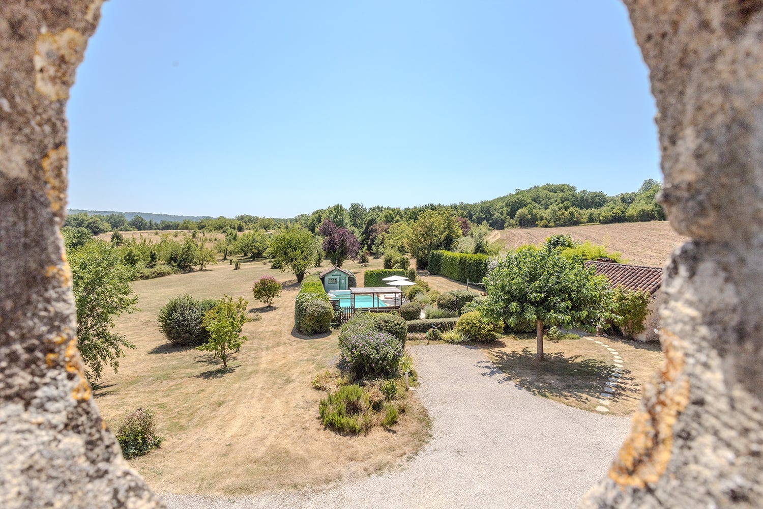 Garden Garden