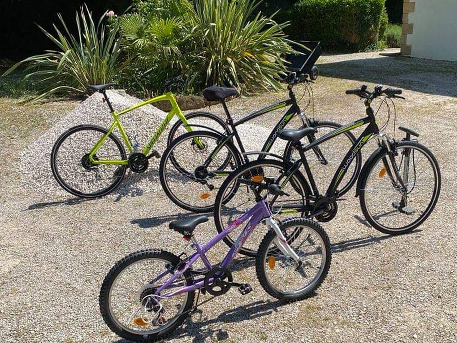 Bicycles Bicycles