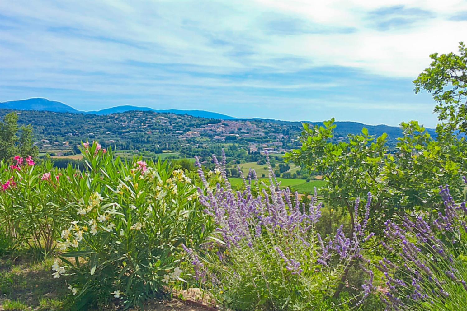 View in Provence