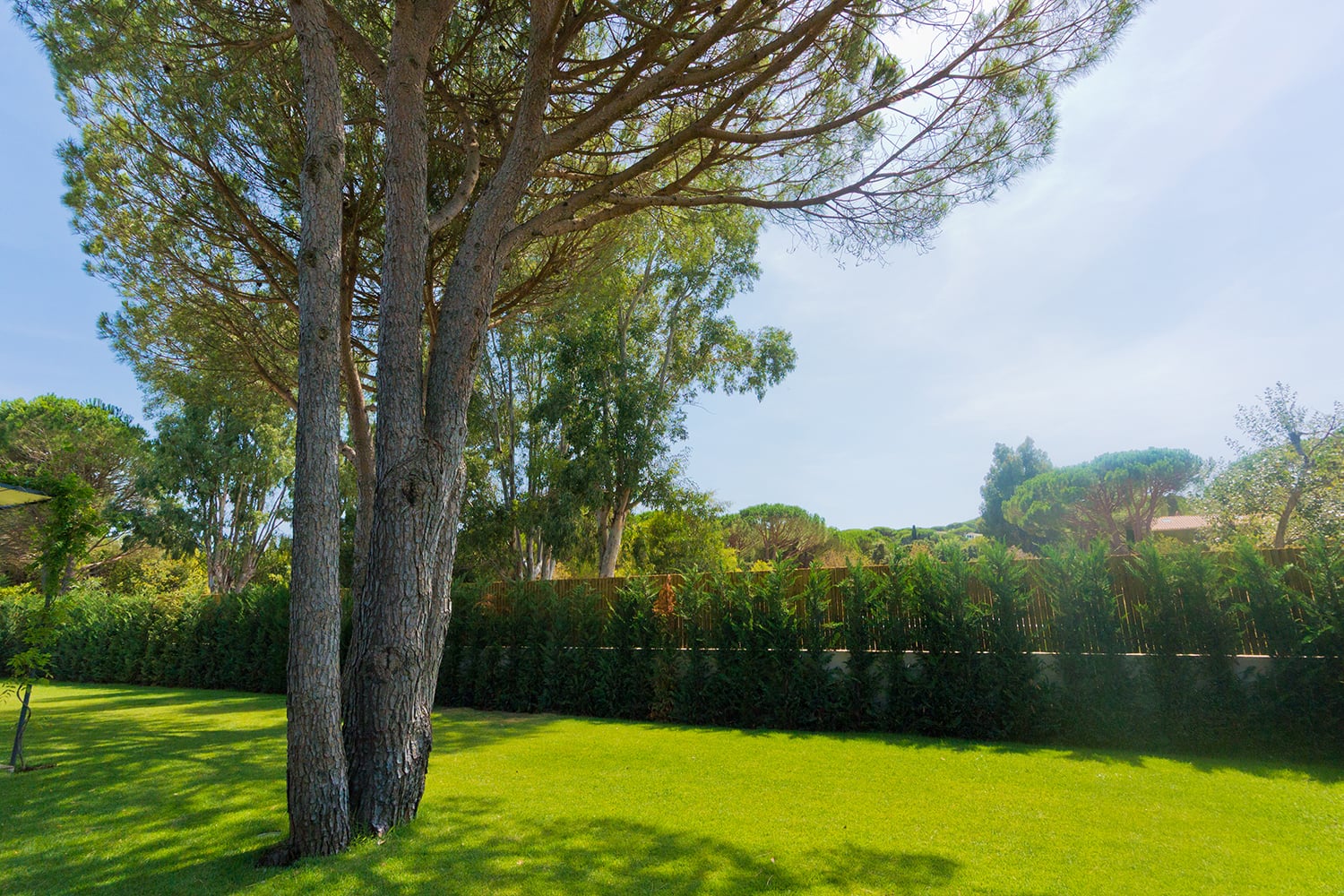 Lawned garden