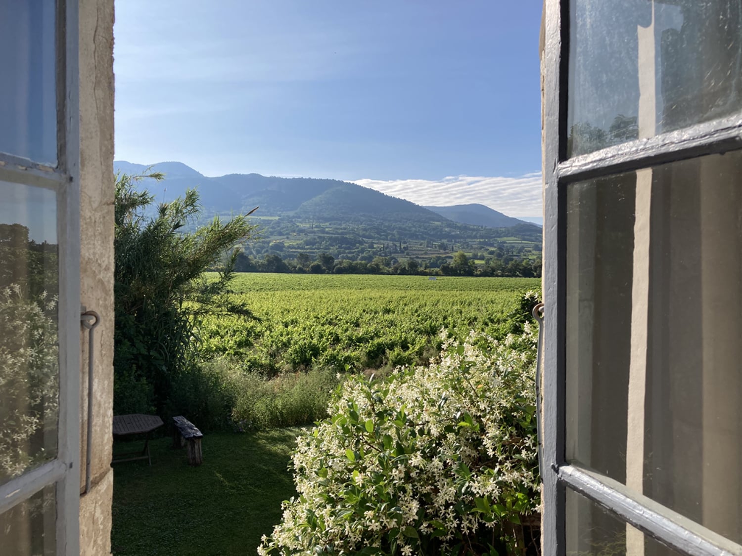 View from window