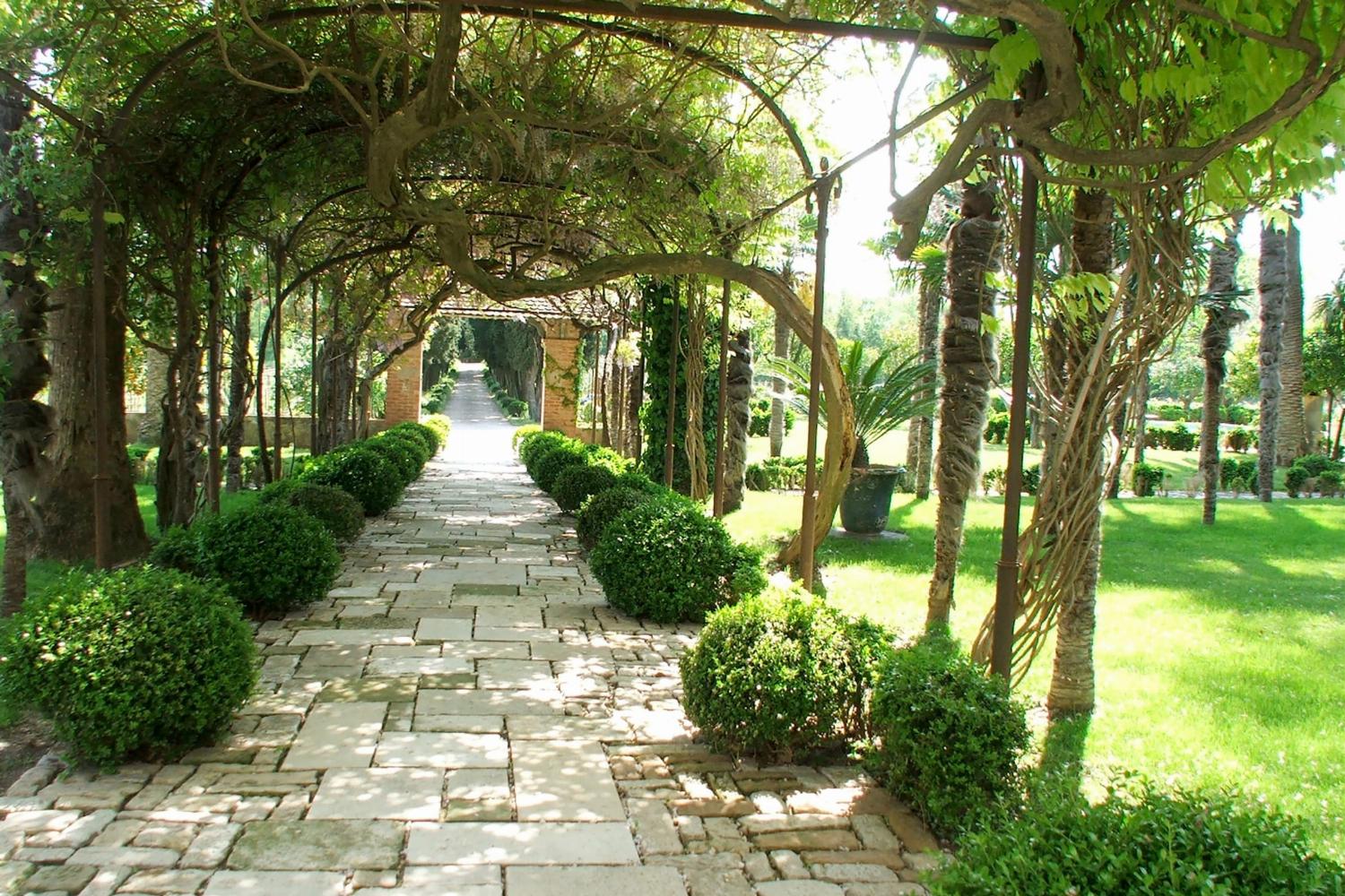 Garden in France