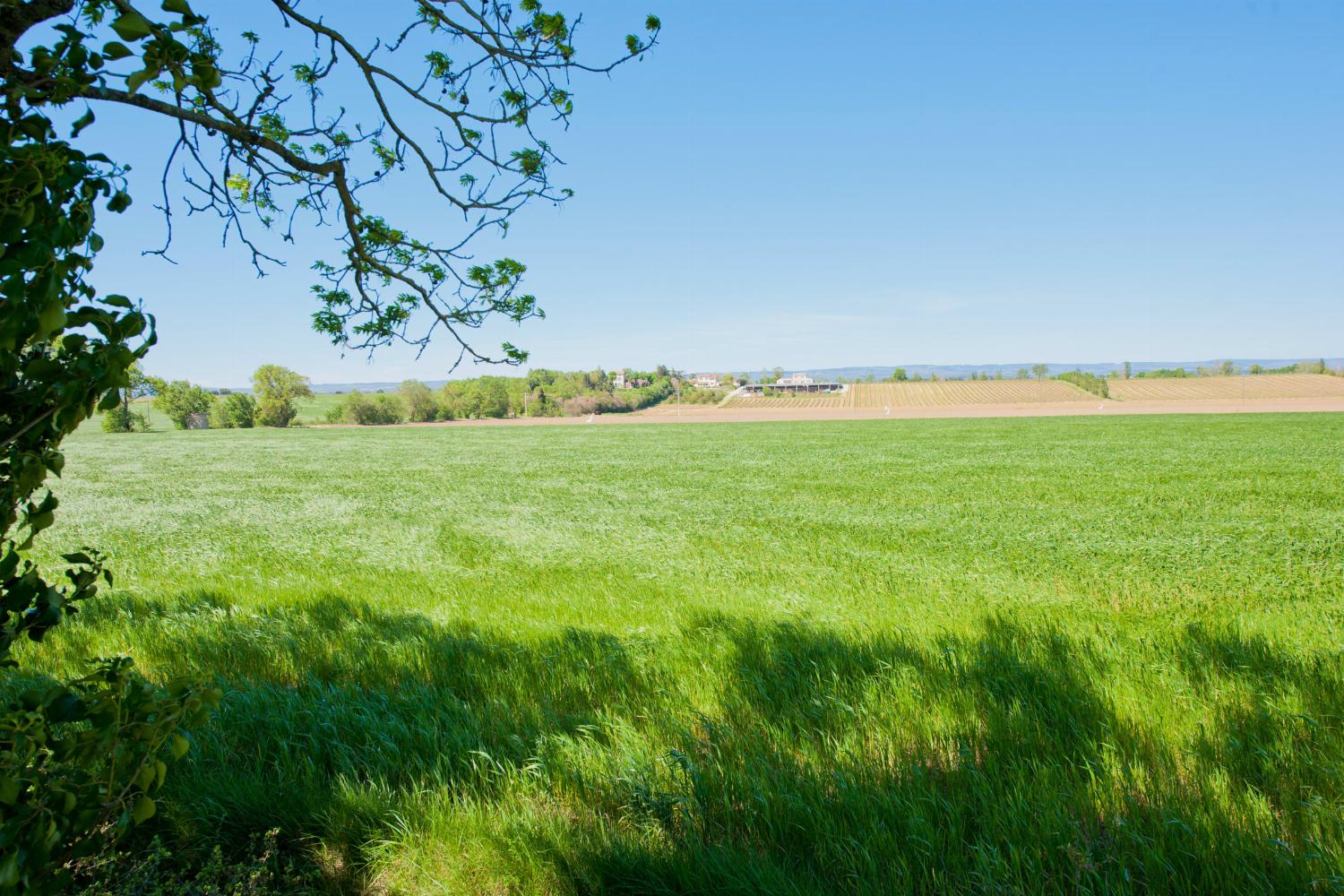 View in South of France