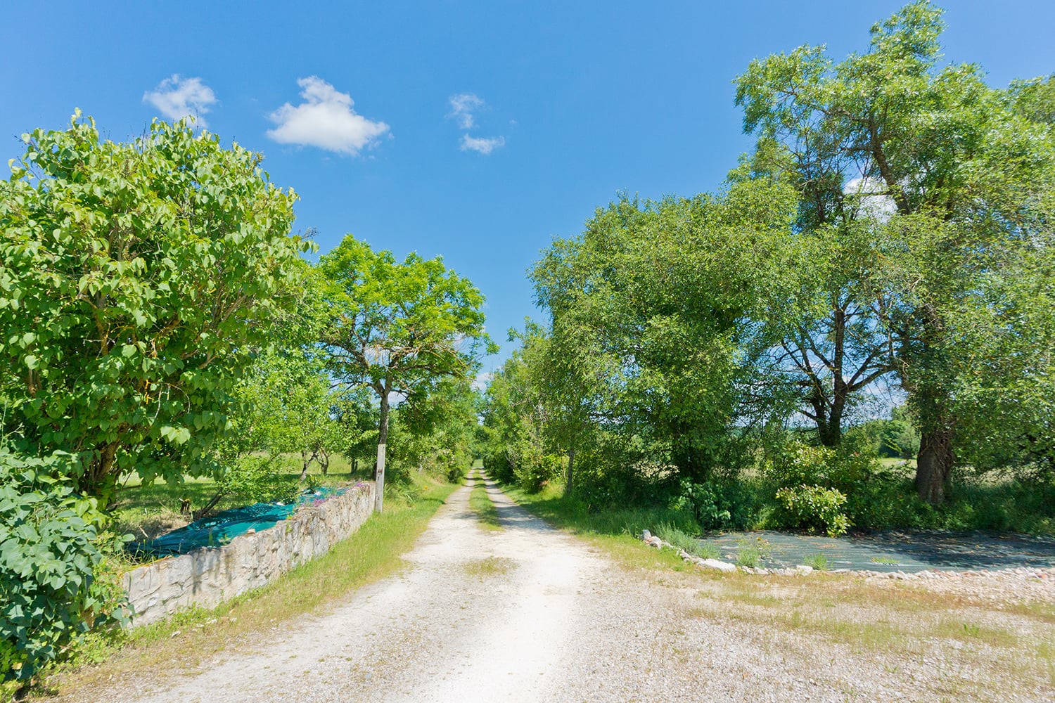 Driveway