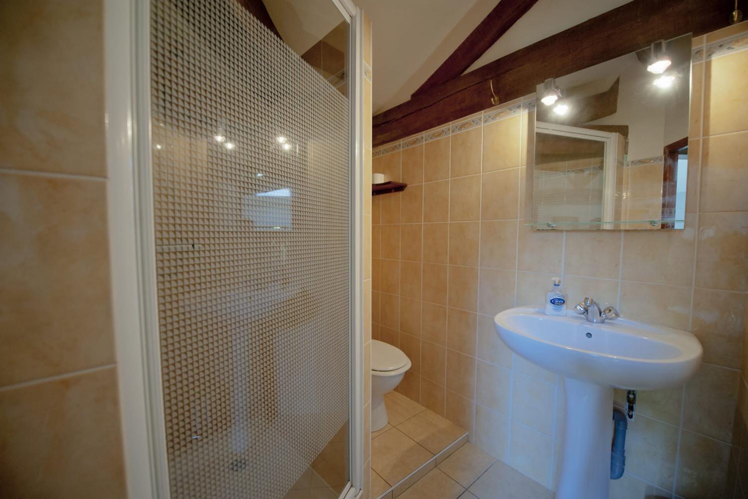 Bathroom | Holiday home in Lot-et-Garonne